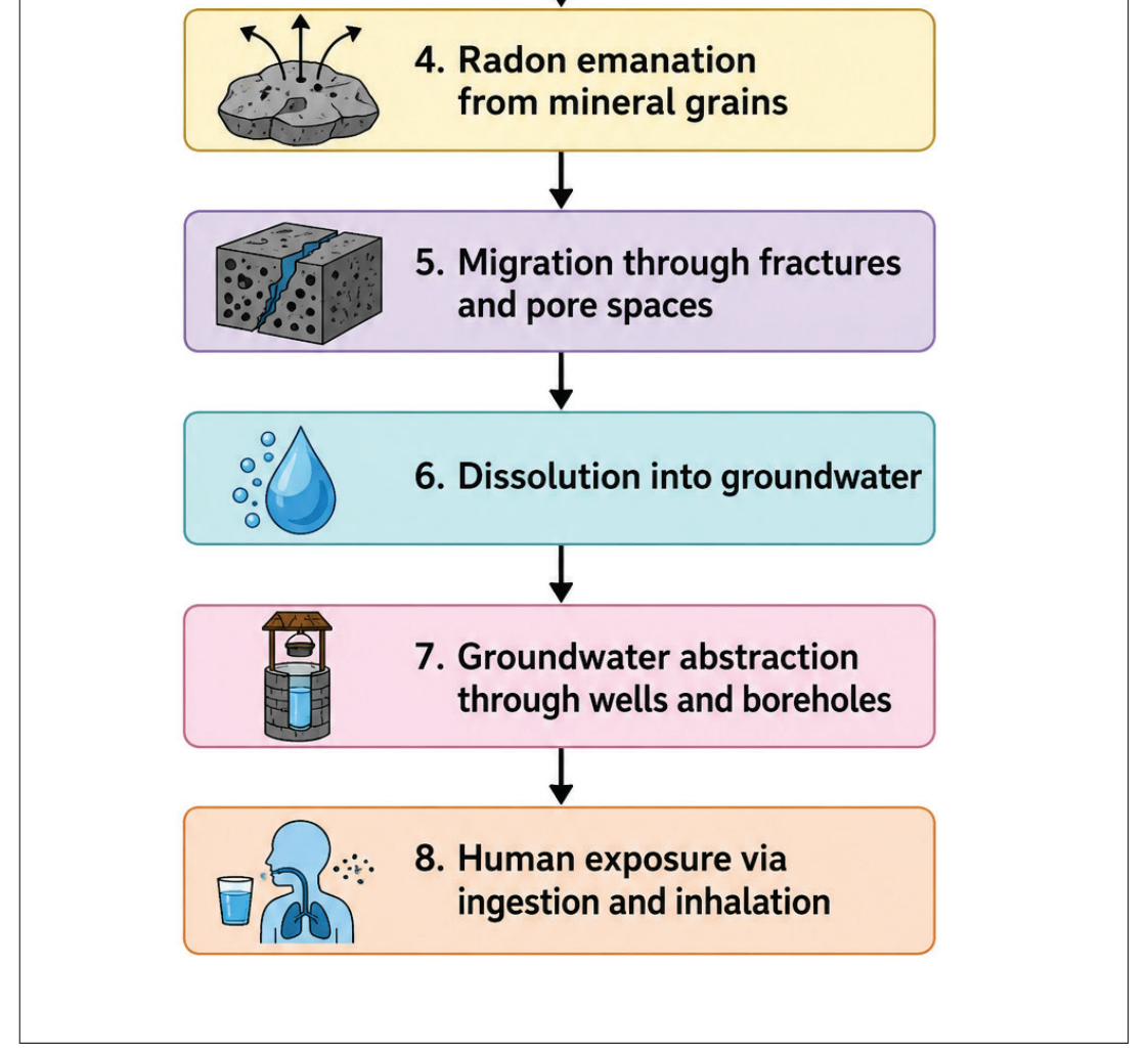 Figure 3 .  The conceptual process governing groundwater radon occurrence.